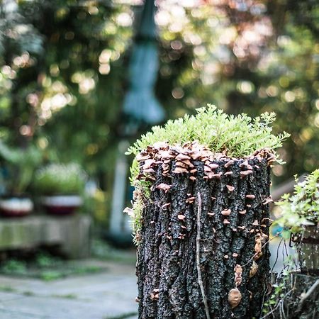 Hangzhou West Lake Lake YI Tong Intelligent Homestay Buitenkant foto