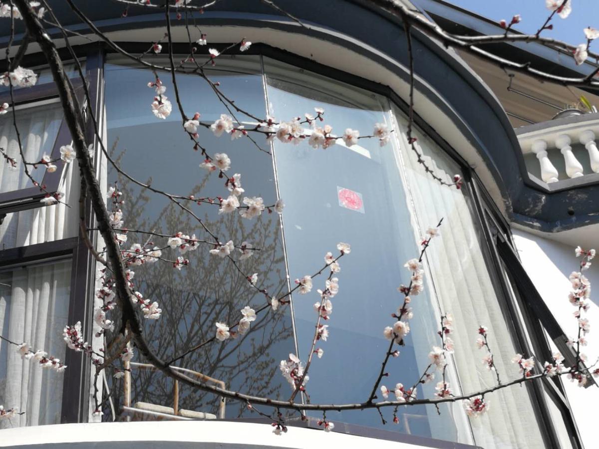 Hangzhou West Lake Lake YI Tong Intelligent Homestay Buitenkant foto